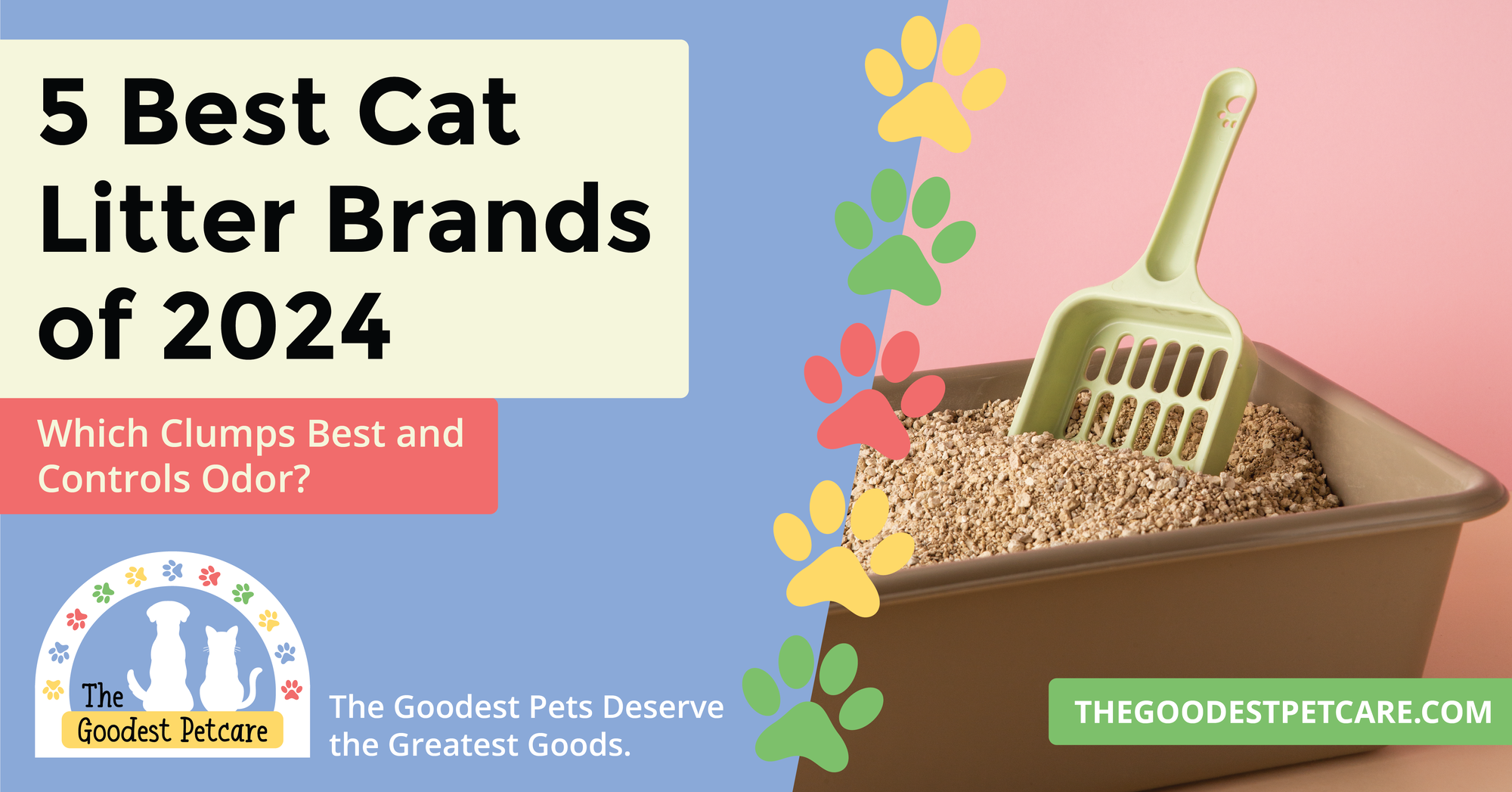 Best Cat Litter Brands of 2024