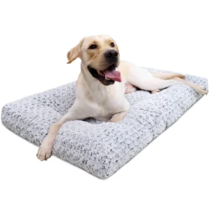 Best Budget Friendly Dog Bed