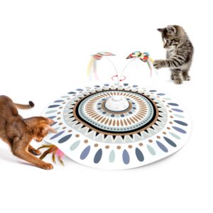 Best Multi-Cat Toy