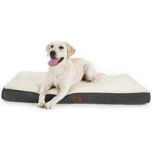 Best Overall Dog Bed