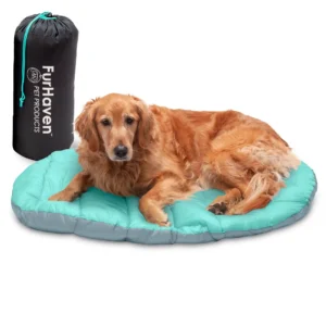 Best Travel-Friendly Dog Bed