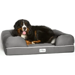 Best Luxury Dog Bed