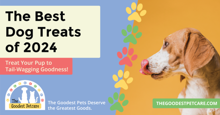 Best Dog Treats of 2024