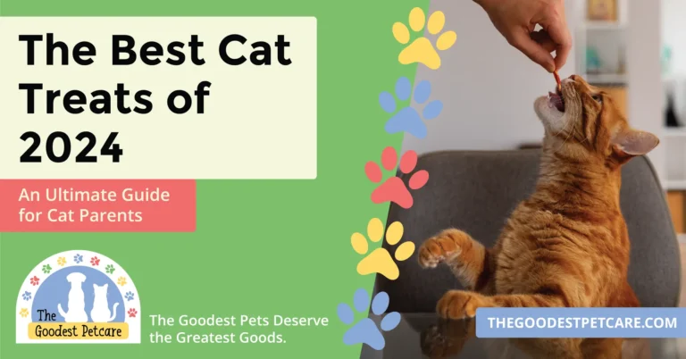 Best Cat Treats of 2024 - Blog Header Image