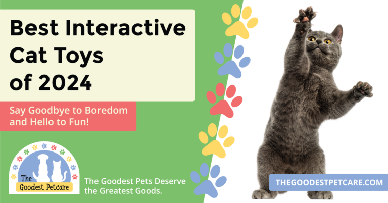 Best Interactive Cat Toys 2024