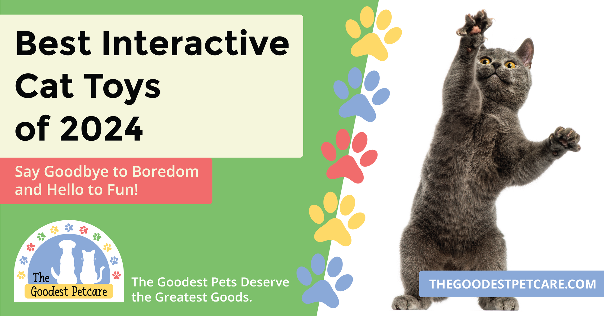 Unleash The Fun Best Interactive Cat Toys Of 2024 The Goodest Petcare   Blog Header Image Blog Post 3 