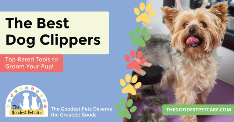 Blog Post Header Image - Best Dog Clippers