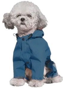 Best All in One Rain Suit for Dogs
