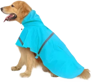 Best Budget-Friendly Raincoat for Dogs