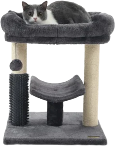 Best Compact Cat Tree