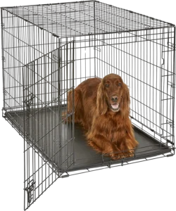Top Dog Crates for Large Dogs