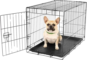 Top Dog Crates for Small Dogs