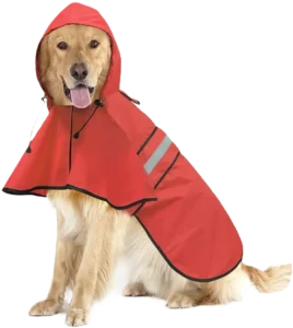 Best High Visibility Dog Rain Gear