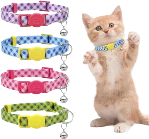 Best Kitten Collar