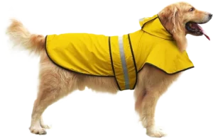 Best Overall Dog Rain Gear