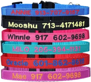 Best Personalization Cat Collar