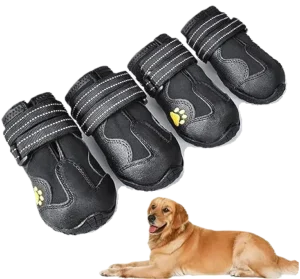 Best Rain Boots for Dogs