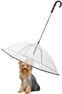 Best Waterproof Dog Umbrella