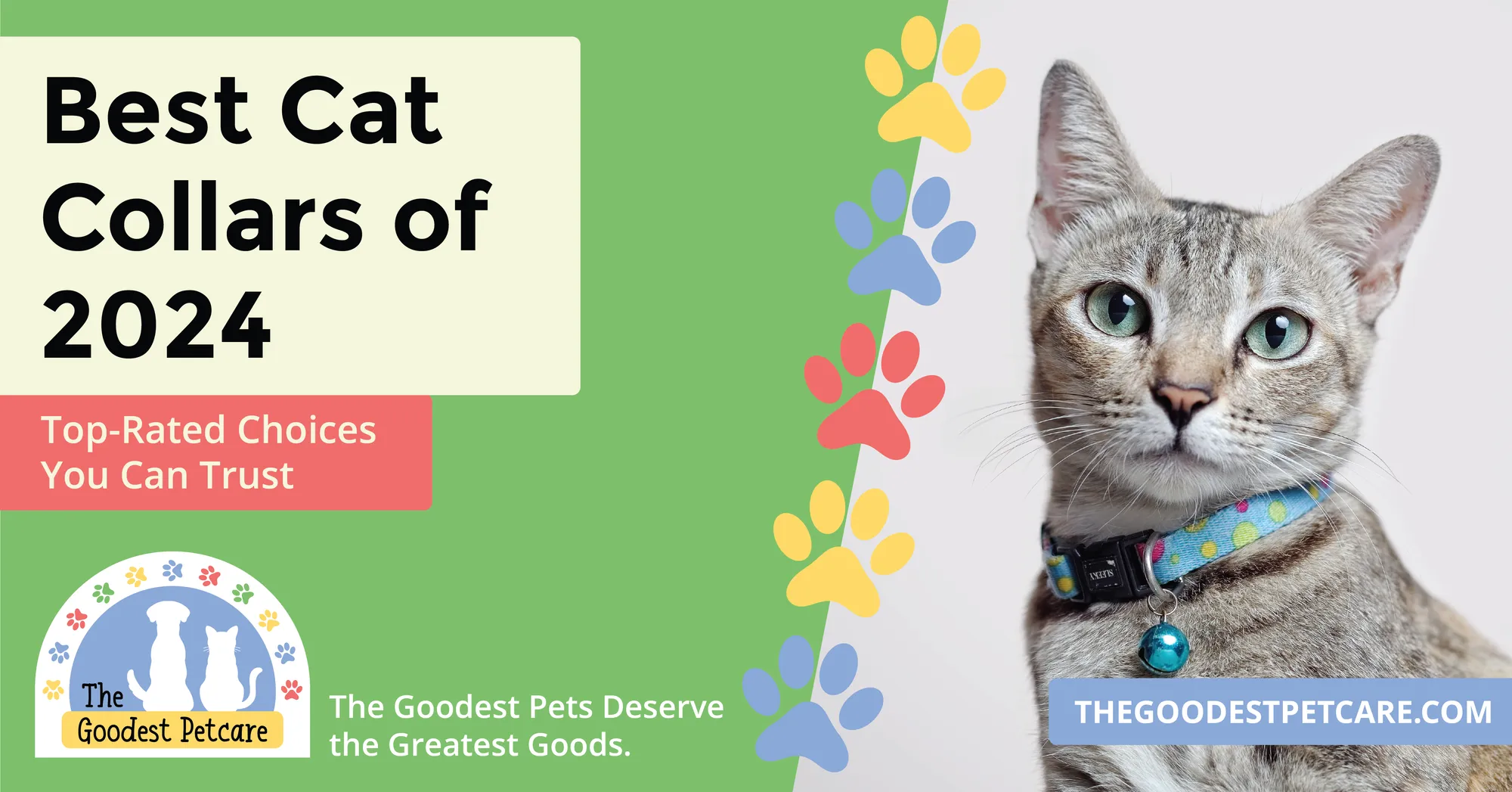 blog-header-image-best-cat-collars