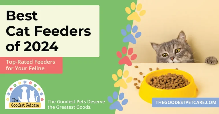 Blog Header Image - Best Cat Feeders