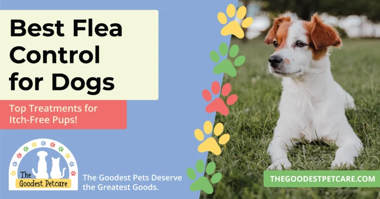 Best Flea Control for Dogs - Header Image