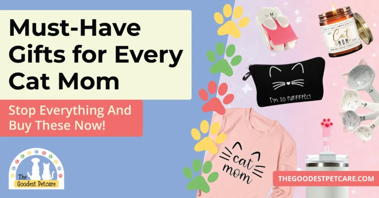Blog Post 14 Header Image - Must-Have Gifts for Every Cat Mom