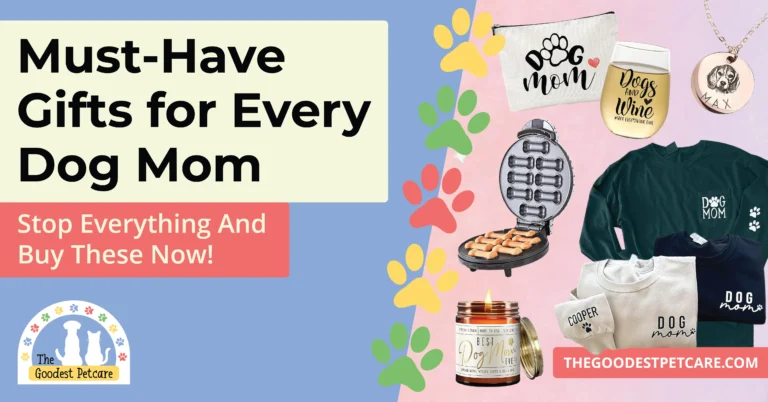 Blog Post 15 Header Image - Must-Have Gifts for Every Dog Mom